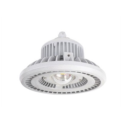 GTB110防爆免维护LED照明灯(IIC)