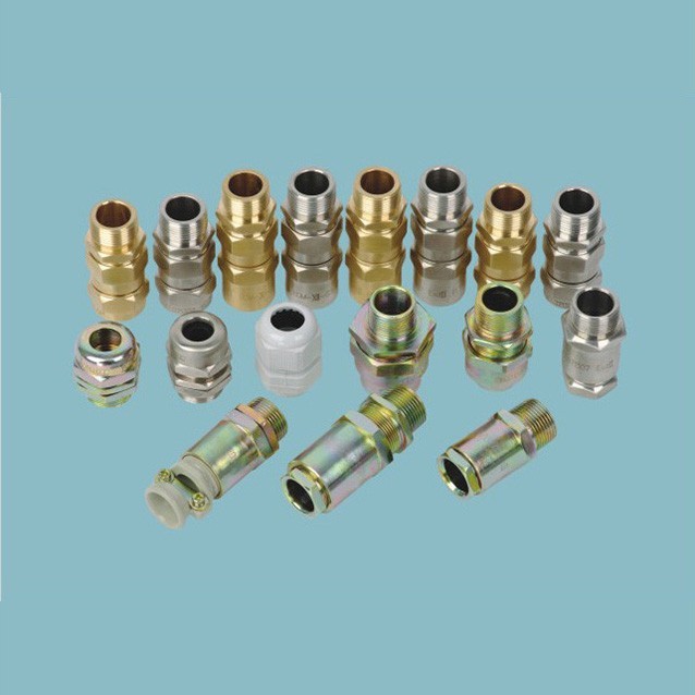 BDM电缆夹紧密封接头(dII、e)